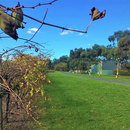 Mclaren Vale Studio Apartments Экстерьер фото